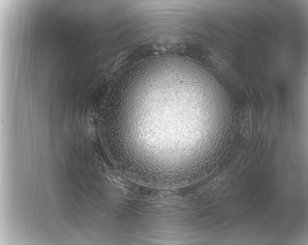 X0000067340770200604030958