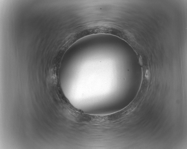 X0000067340771200604030958