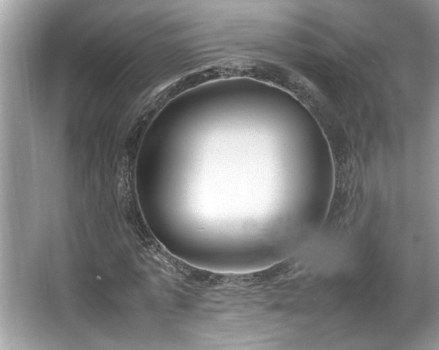 X0000067340773200604030958