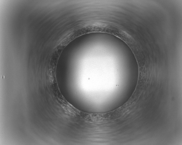 X0000067340774200604030958