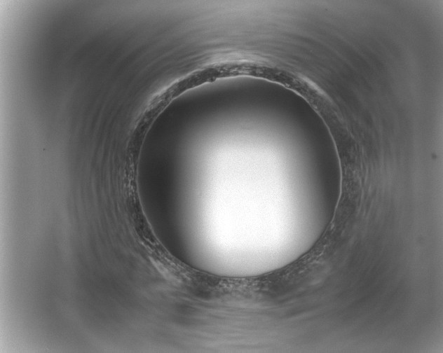 X0000067340775200604030958