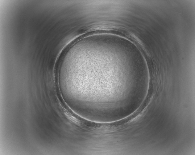 X0000067340779200604030958