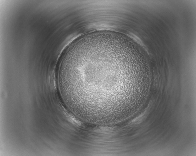 X0000067340782200604030958