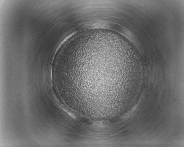 X0000067340790200604030958