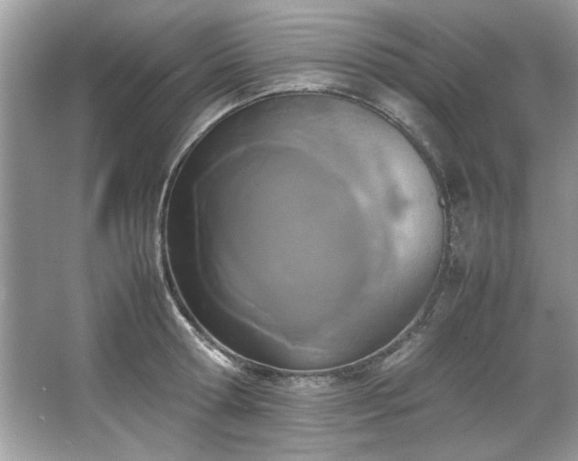 X0000067340802200604030958