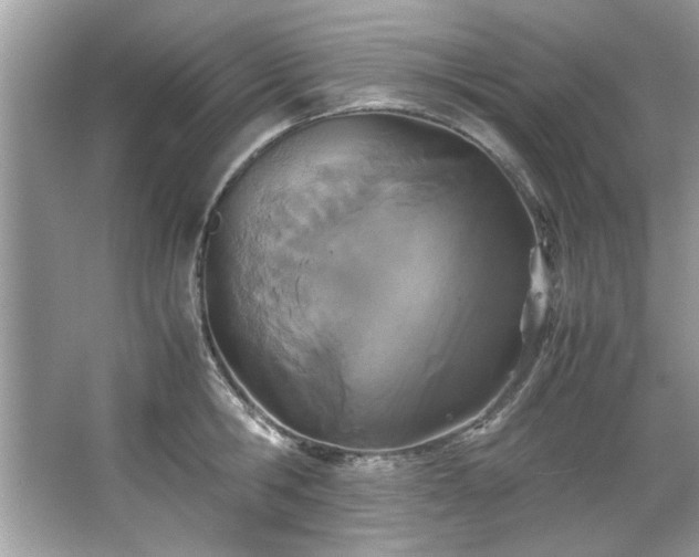 X0000067340806200604030957