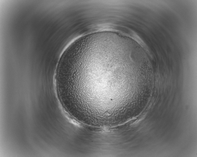 X0000067340814200604030957