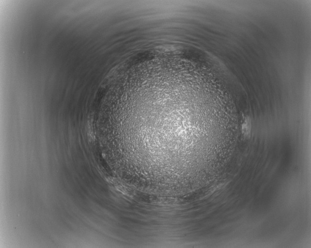 X0000067340819200604030957