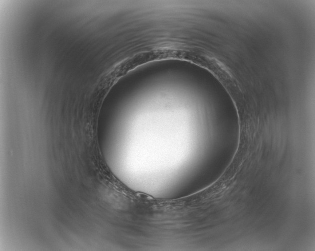 X0000067340821200604030957
