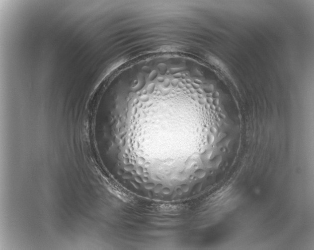 X0000067340827200604030957