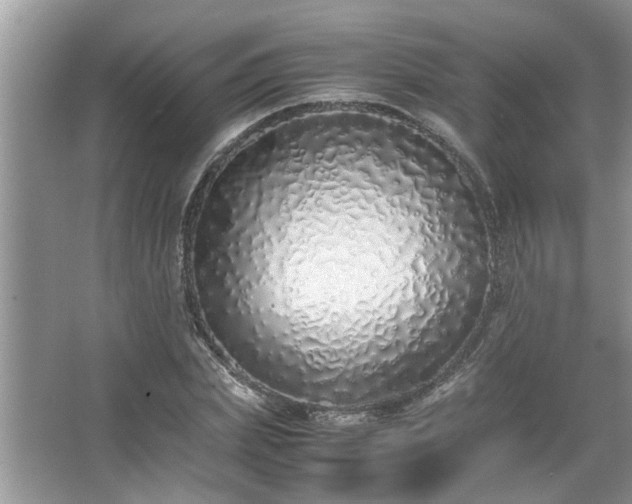 X0000067340831200604030957