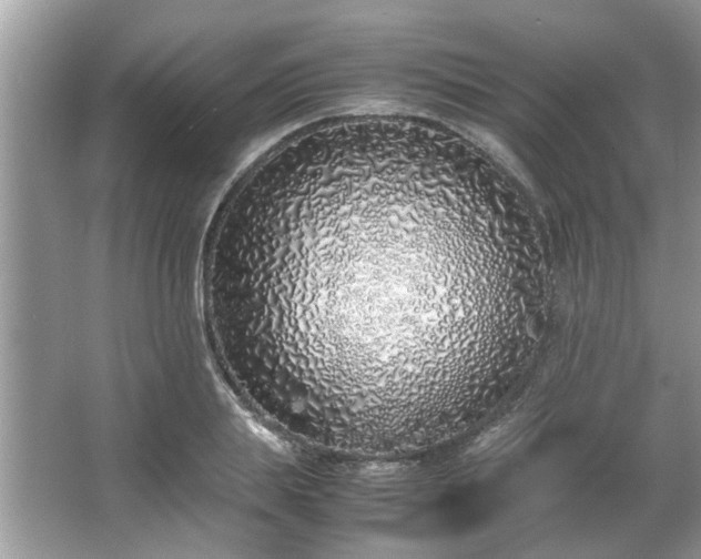 X0000067340839200604030957