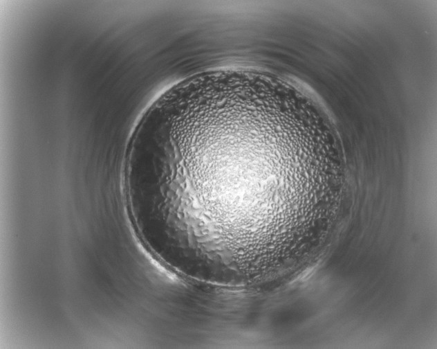 X0000067340855200604030957