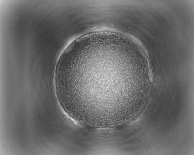 X0000067340863200604030957