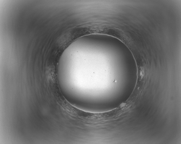 X0000067340867200604030956