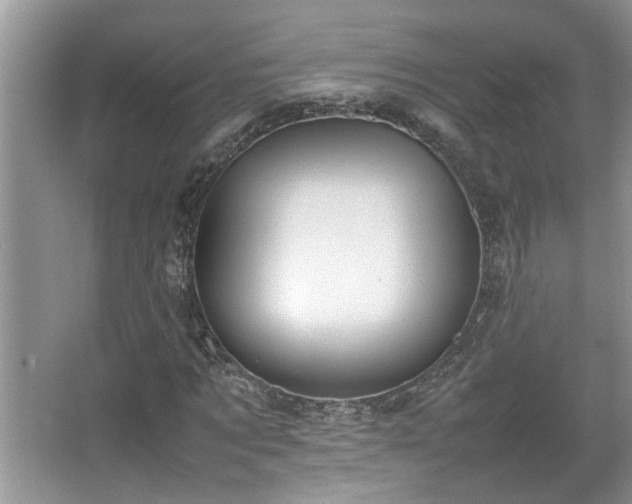 X0000067340869200604030956