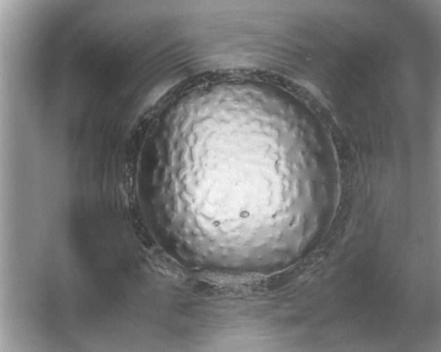 X0000067340871200604030956