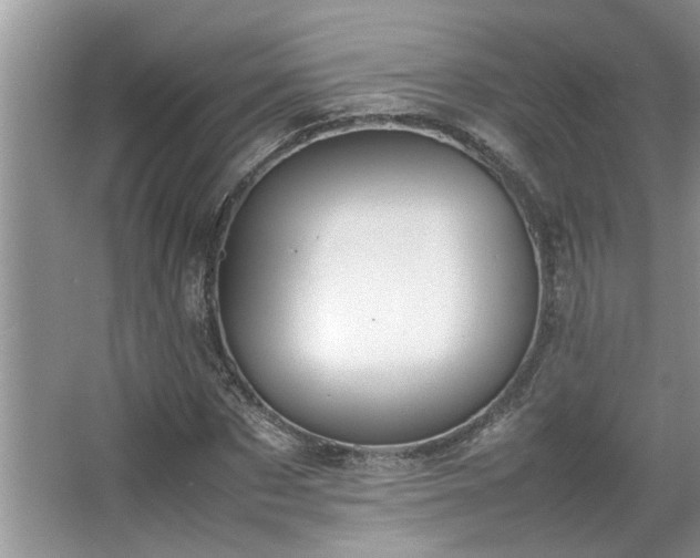 X0000067340873200604030956