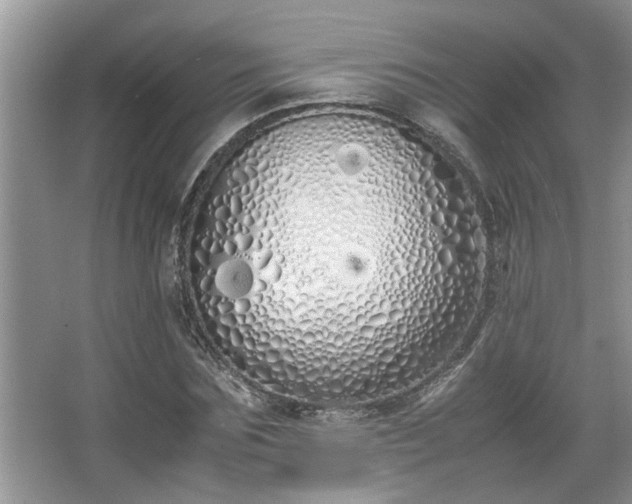 X0000067340875200604030956