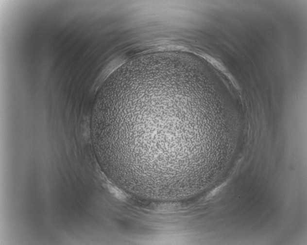X0000067340889200604030956
