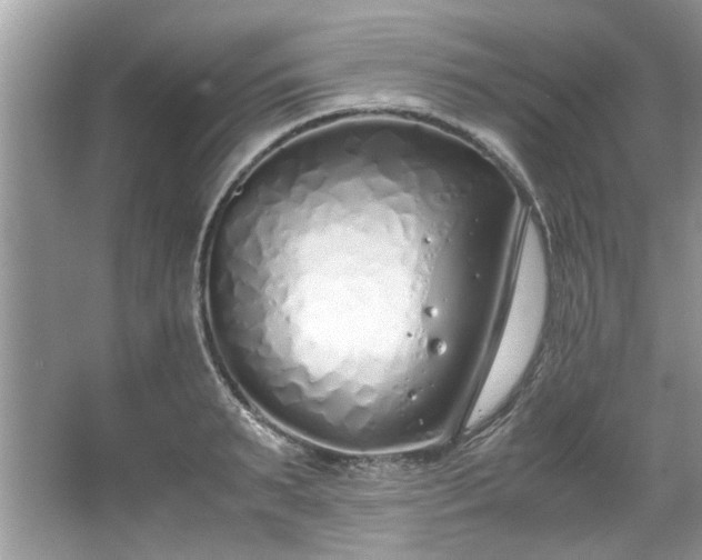 X0000067340895200604030956