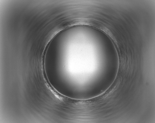 X0000067340898200604030956