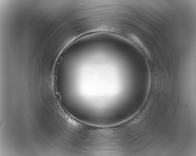 X0000067340900200604030956