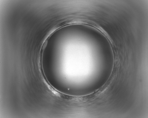X0000067340909200604030956