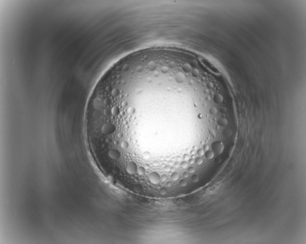 X0000067340911200604030956