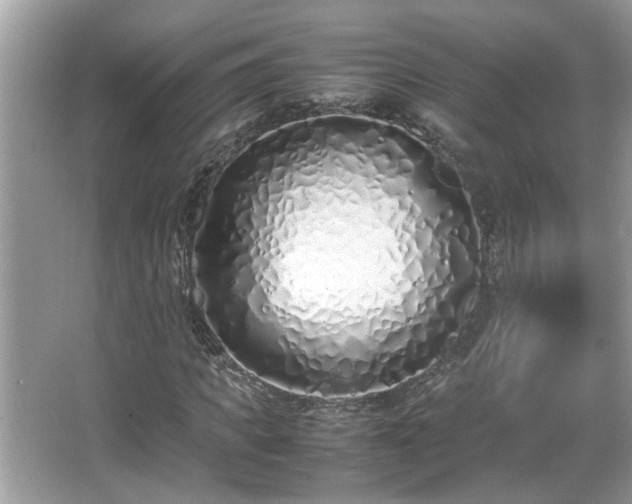 X0000067340917200604030955