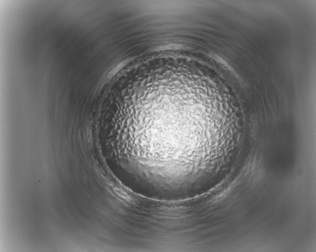 X0000067340921200604030955