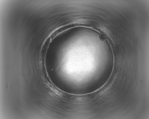 X0000067340923200604030955