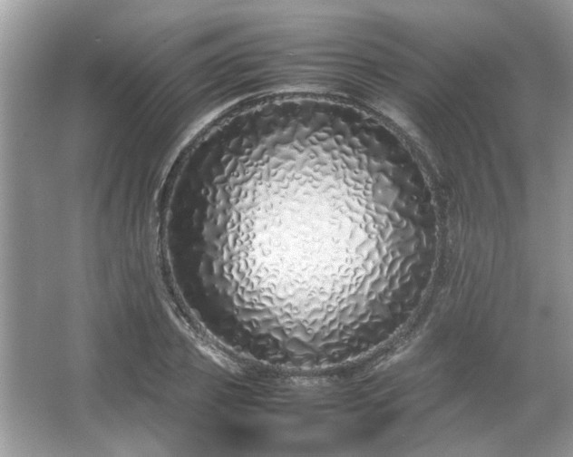 X0000067340933200604030955