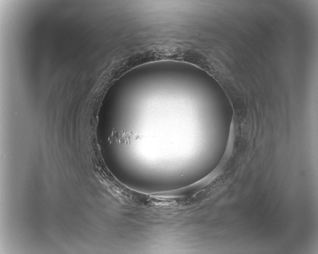 X0000067340961200604030955