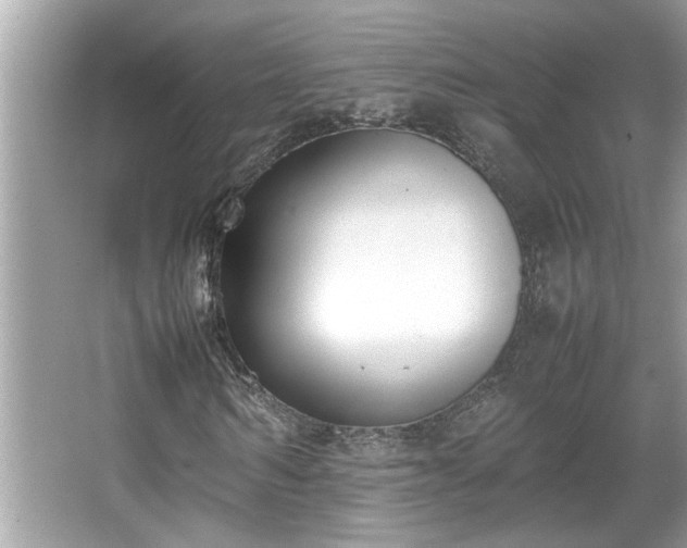 X0000067340962200604030955