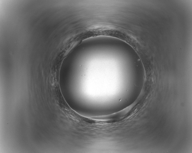 X0000067340965200604030955