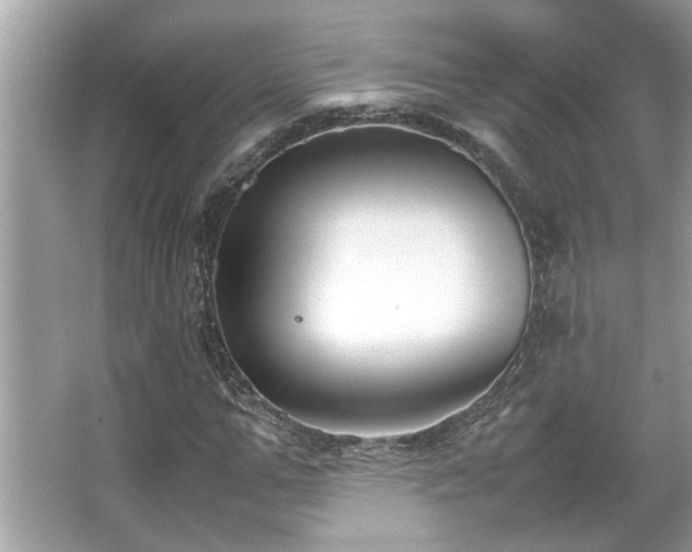 X0000067340967200604030955