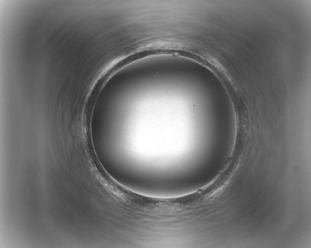X0000067340981200604030955