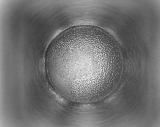X0000067340982200604030955