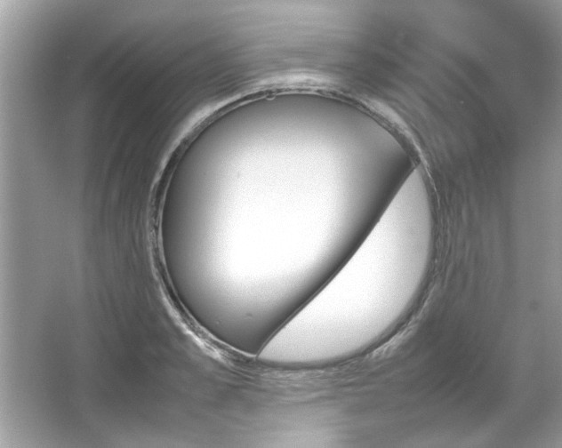 X0000067340989200604030954