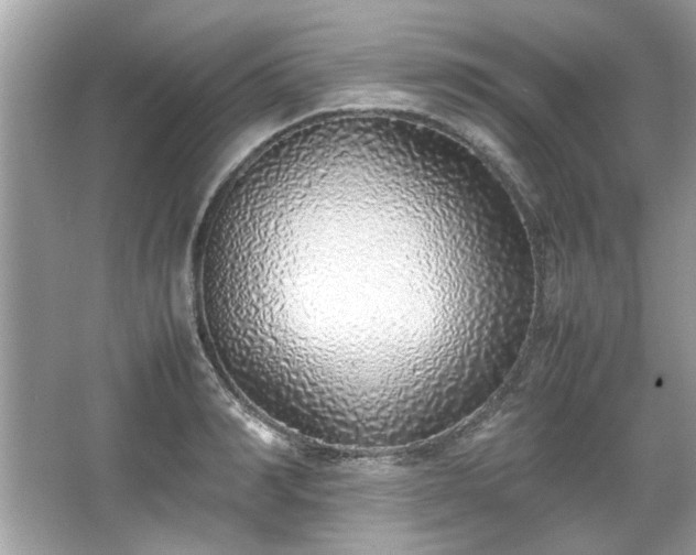 X0000067340990200604030954