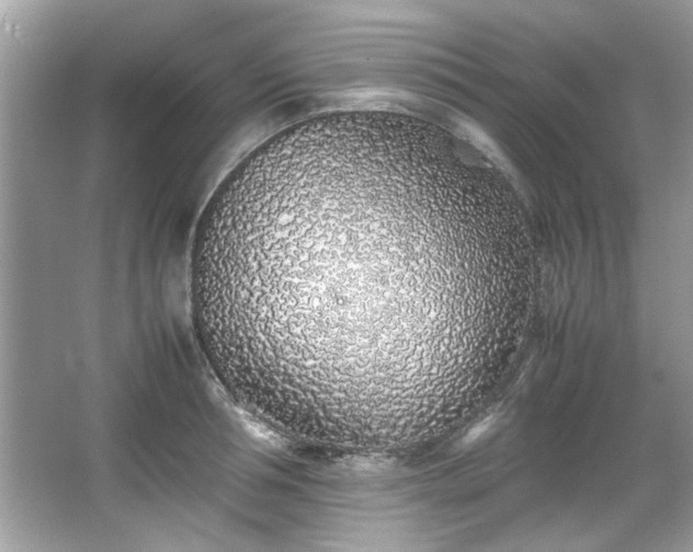 X0000067340994200604030954