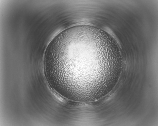 X0000067341002200604030954
