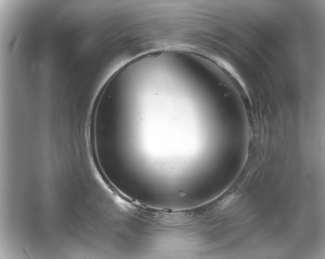 X0000067341007200604030954