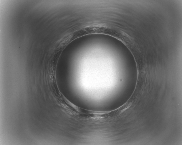 X0000067341014200604030953