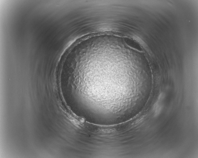 X0000067341023200604030954
