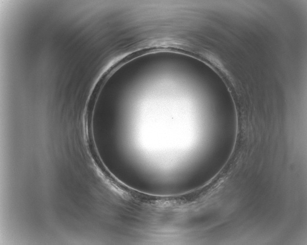 X0000067341032200604030954