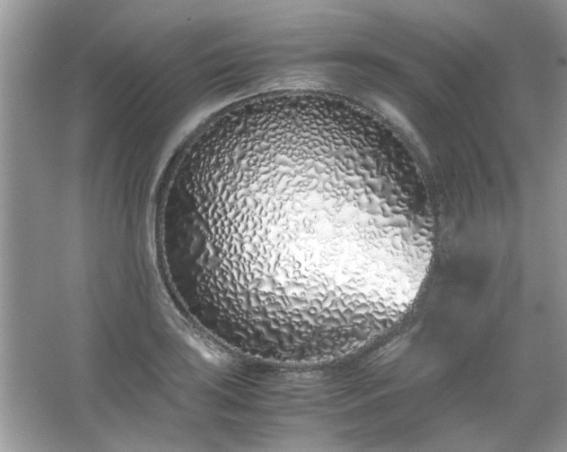 X0000067341035200604030954