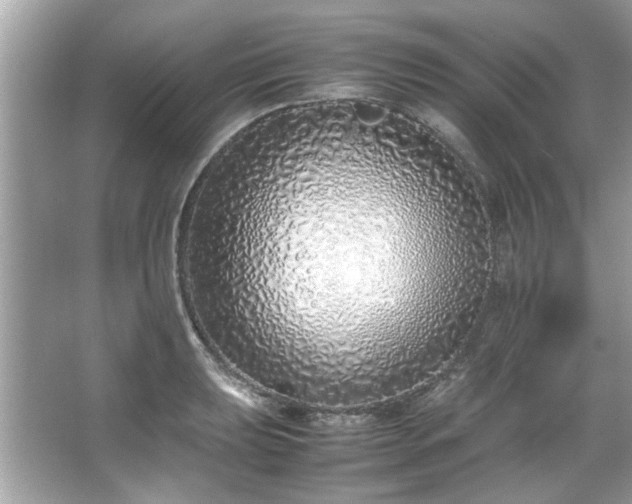X0000067341039200604030954