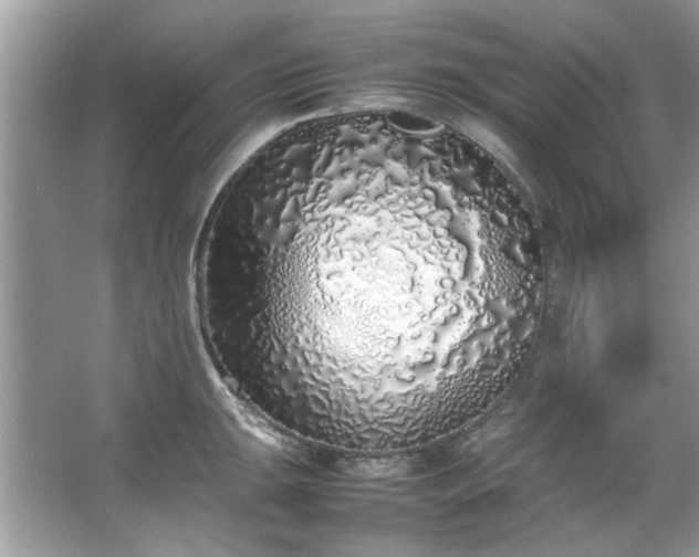 X0000067341047200604030954